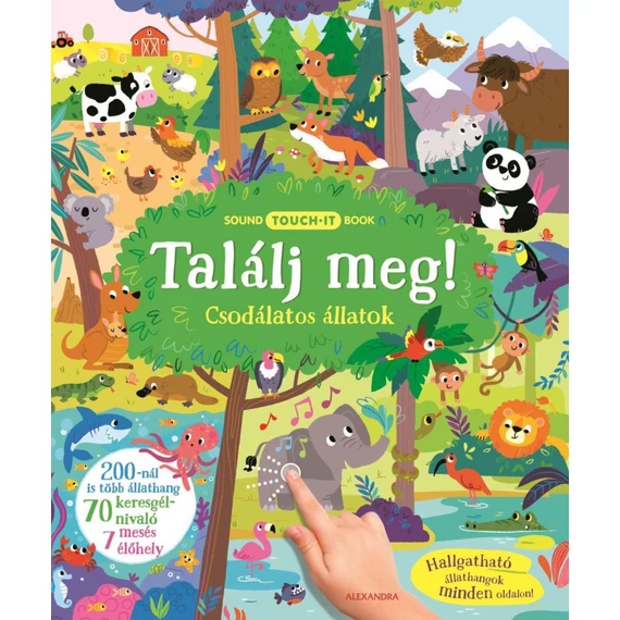 Találj meg! 